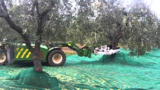 Macchina MX3 SICMA per la raccolta olive al lavoro 2011MOV [upl. by Bander946]