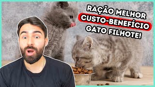 As Rações Com Melhor CUSTOBENEFÍCIO Para Gato FILHOTE [upl. by Lareena96]