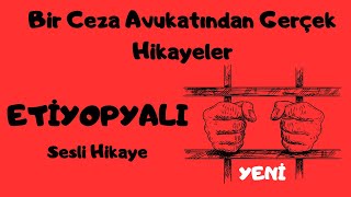 Bir Ceza Avukatından Gerçek Hikayeler [upl. by Htidra974]