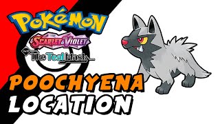 Pokemon Scarlet amp Violet The Teal Mask DLC  Poochyena Location [upl. by Pollack]