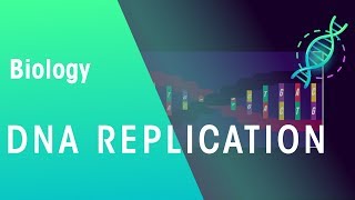 DNA Replication  Genetics  Biology  FuseSchool [upl. by Anahsit]