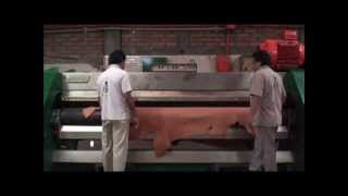 Leather Tanning ProcessChahin Tannery for Weaver Leather [upl. by Inwat]