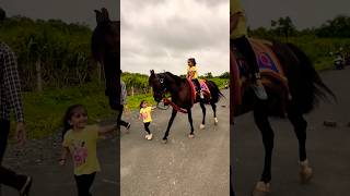 Horse 🐎 Riding  horse horses ghoda horseriding horselover ytvideo shortsfeed dhruhi [upl. by Intruok924]