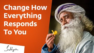 The Essence of Inner Engineering  Sadhguru [upl. by Dutchman176]