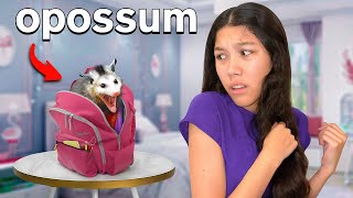 We FOUND A HUGE Opossum In Our HOUSEShocking [upl. by Maryellen]