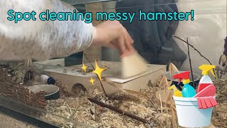 Hamster inclosure spot cleaning timelapse [upl. by Brocklin]