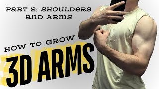 The OPTIMAL Shoulders  Arms Workout Part 2 of 6day Routine [upl. by Gennaro]