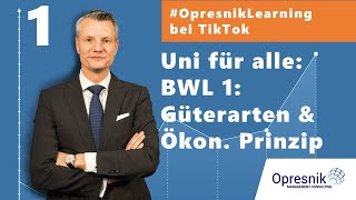 OpresnikLearning bei TikTok BWL 1 Güterarten amp Ökonomisches Prinzip [upl. by Klarika875]