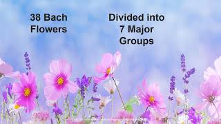 Bach Flower Remedies  Major 7 Groups Part I [upl. by Eilsew344]