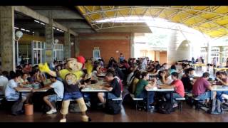 Harlem Shake  UTFPR  MED  28022013 [upl. by Yatnod]