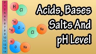 Acids And Bases Salts And pH Level  What Are Acids Bases And Salts  What Is The pH Scale Explained [upl. by Acinom]