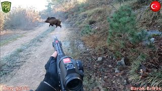 Şarjörlü tüfek ile yaban domuzu avı  Wild Boar Hunting in Türkiye [upl. by Anhej]