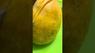 Banaganpalli Mangoes from India [upl. by Kennard]