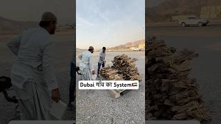 Dubai gaon ka system dubailife reel shortvideo shortsviral reelsvideo [upl. by Olinde]