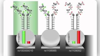 Illumina Infinium Assay An Overview [upl. by Jeralee348]