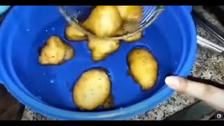 DHAI BHALLY RECIPE in 10 Minutes [upl. by Adnim]