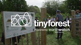 Tiny Forests Earthwatch Programs [upl. by Ennirac]