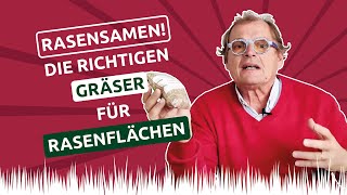 RASENSAMEN 🌱 die richtigen GRÄSER für Rasenflächen 🤓 [upl. by Labina197]