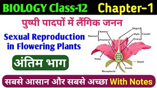 12th bio  class 12 sexual reproduction in flowering plants in hindi  पुष्पीय पौधों में लैंगिक जनन [upl. by Woolley]