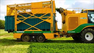 Ploeger MKC2TR  Peterselie oogsten  Parsley harvest  Petersilie ernten  John Deere 6140 [upl. by Yme]