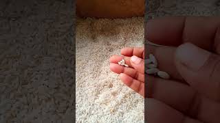 Restion rice lo plastic rice trending  viral [upl. by Joyan383]