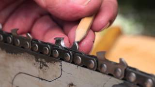 Sharpen a Chainsaw Chain  Tool Tip 10 Making Sawdust How to hand sharpen a chainsaw chain [upl. by Trevethick837]