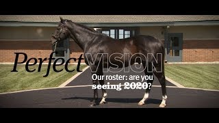 Darley USA 2020 Stud Fees [upl. by Saimon]