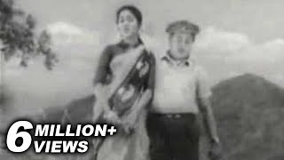 Naan Pesa Ninaipadhelam  Palum Pazhamum  Saroja Devi amp Sivaji Ganesan  Evergreen Songs [upl. by Areek]