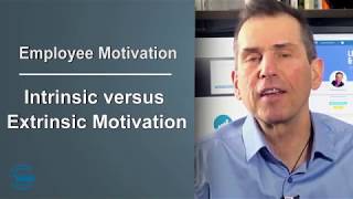 Intrinsic and Extrinsic Employee Motivation Factors [upl. by Errehs]