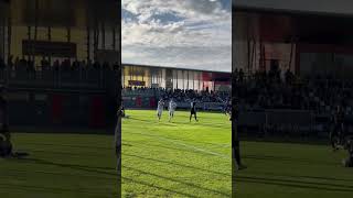 Os golos da vitória na UYL frente ao Sturm Graz ⚽️⚽️⚽️ STUSCP SportingCP [upl. by Osrit449]