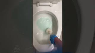 Satisfying toilet bowl clean cleaning cleantok [upl. by Euell]