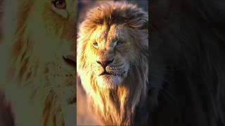 Deadly lion and Baboon fight  Dastanrecap facts lion lionattitude shorts lioness education [upl. by Intihw612]