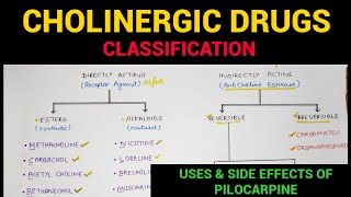 Autonomic Pharmacology  4  Cholinergic Drugs Classification  EOMS [upl. by Cynth293]