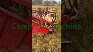 Campaign machine 👩‍🌾🥰 amazing paddy harvesting technology shortvideo [upl. by Ferrick]