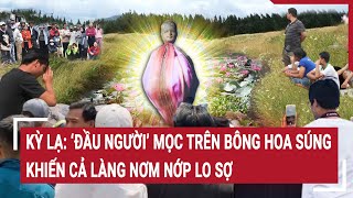 Kỳ Lạ “Đầu Người” mọc trên bông hoa súng khiến cả làng nơm nớp lo sợ [upl. by Alisa]