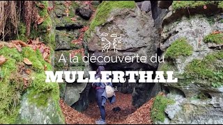 La petite Suisse luxembourgeoise une MERVEILLE  Mullerthal Trail [upl. by Drofnil]