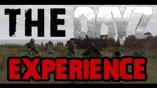 THE DAYZ EXPERIENCE [upl. by Lilak]