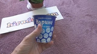 Unboxing and test of Narine Acidophilus Milk 300 g [upl. by Raamaj517]