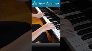 Bach fugue en ré mineur extrait [upl. by Enirehtahc]