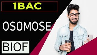 svt 1bac français international maroc plasmolyse et turgescence et osmose [upl. by Akihsat]