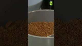 Homemade Qorma Masala Powder Recipe By Chef Mehboob  Bakra Eid Special Korma Masala  MasalaTv [upl. by Aida]