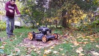 Honda GCV160 lawnmower  Cold Start [upl. by Notsirt]