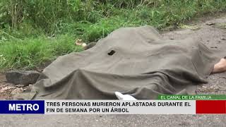 TRES PERSONAS MURIERON APLASTADAS DURANTE EL FIN DE SEMANA POR UN ÁRBOL [upl. by Cranston]