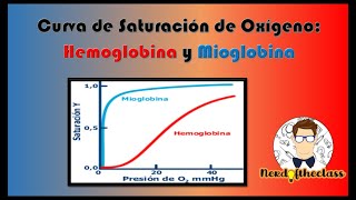 Curva de Saturación de Oxígeno Hemoglobina y Mioglobina bioquímica química fisiología medicina [upl. by Tocs]