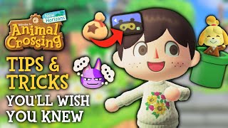 Tips amp Tricks I WISH I Knew Sooner in Animal Crossing New Horizons [upl. by Sialac]