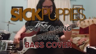 Sick Puppies  Youre Going Down Bass Cover [upl. by Kavanagh387]