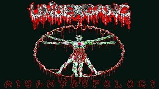 • UNDERGANG  Misantropologi Fulllength Album Old School Death Metal [upl. by Salita]