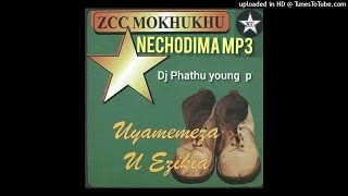 Nechodima Zcc Amapiano Remix by Dj Phathu Young P [upl. by Vale626]