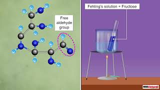 Reducing and Non Reducing Sugars [upl. by Fletch]