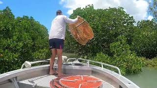 Mud Crabbing Mackay QLD  King Tides  EP 5 [upl. by Annemarie]